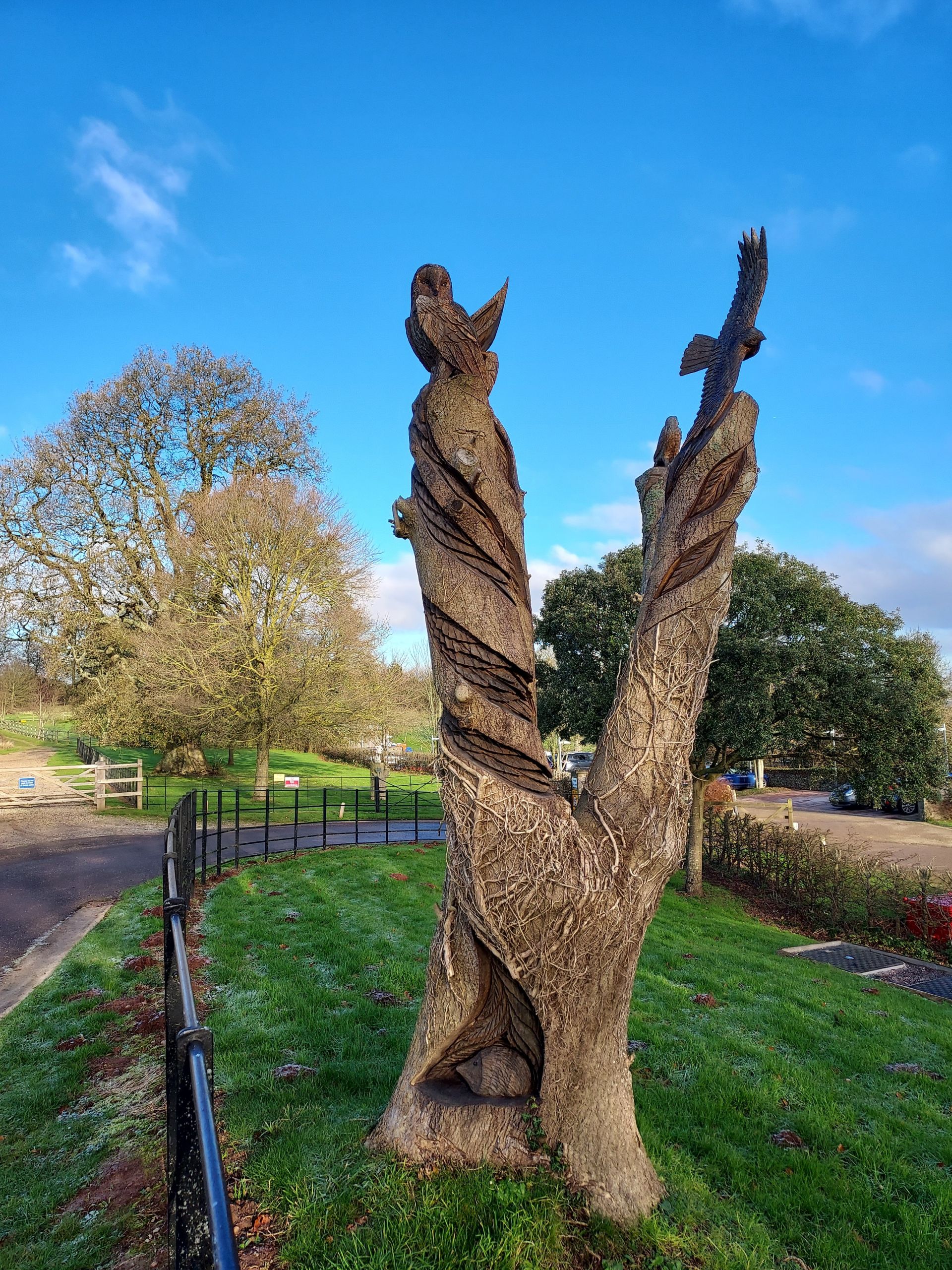 Wooden Sculpture